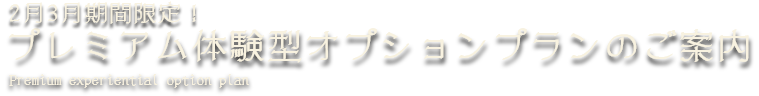 2月3月期間限定！プレミアム体験型オプションプランのご案内